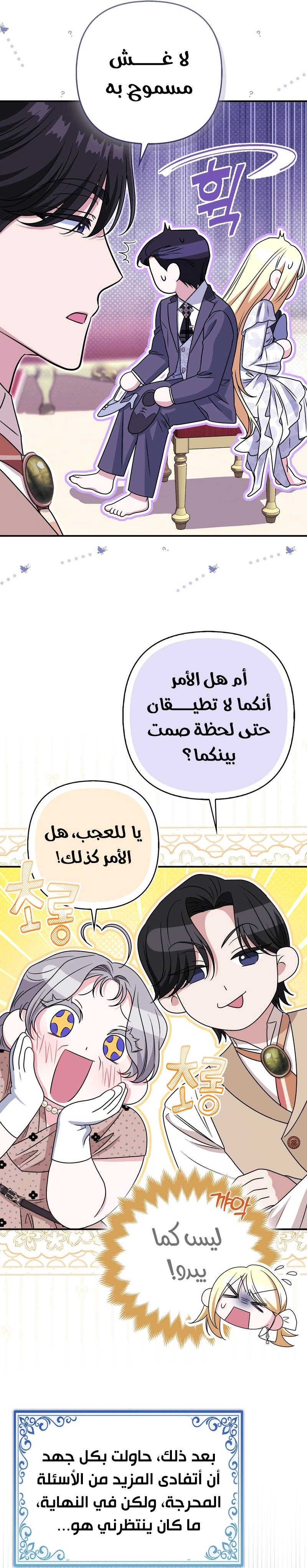 الصفحة 20