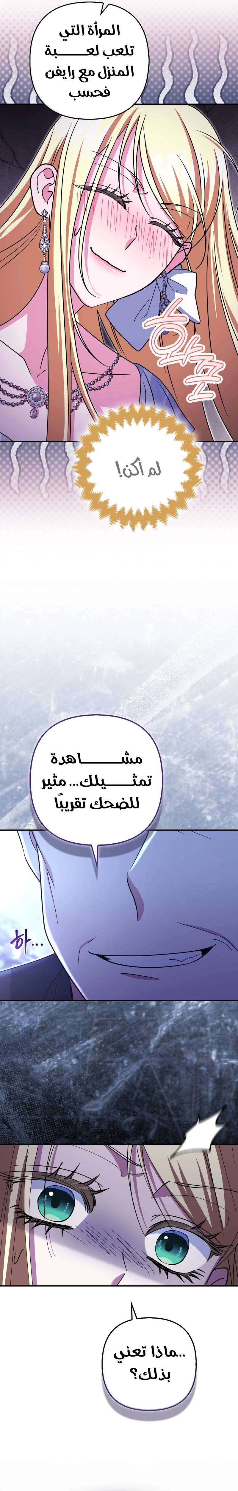 الصفحة 26