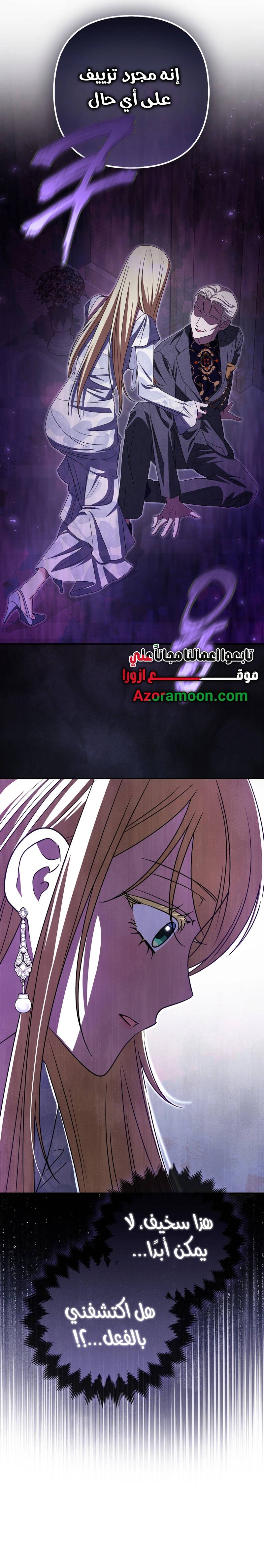 الصفحة 27