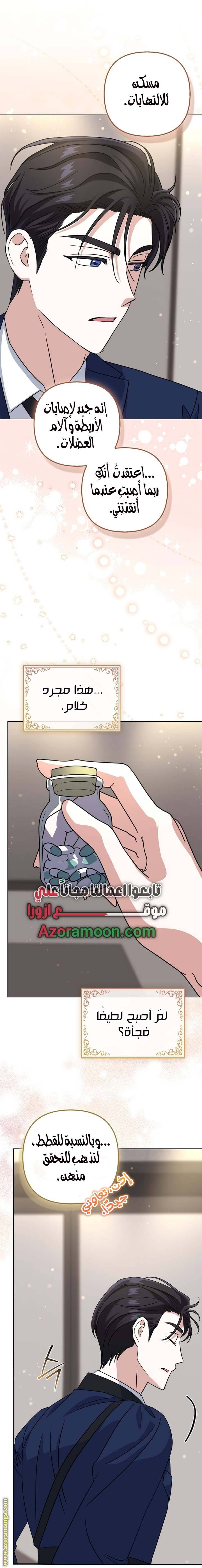 الصفحة 26