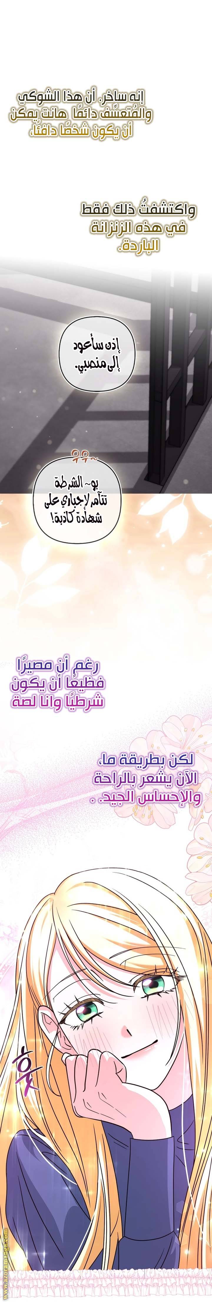 الصفحة 28