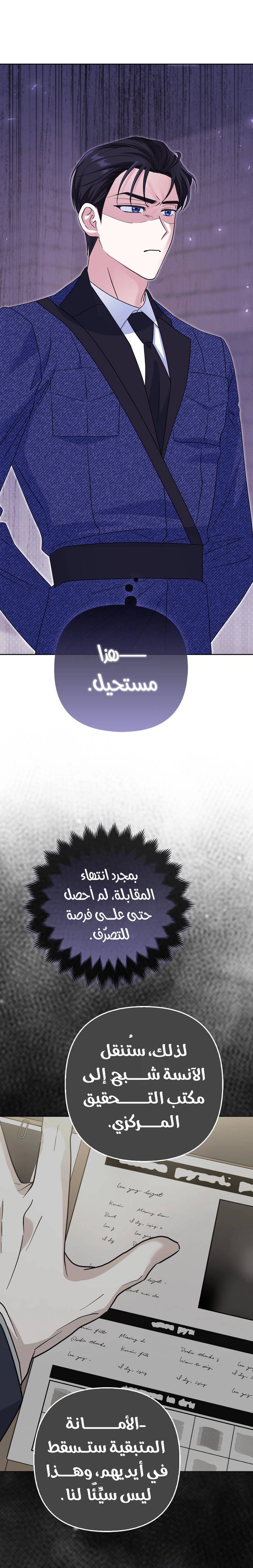 الصفحة 13