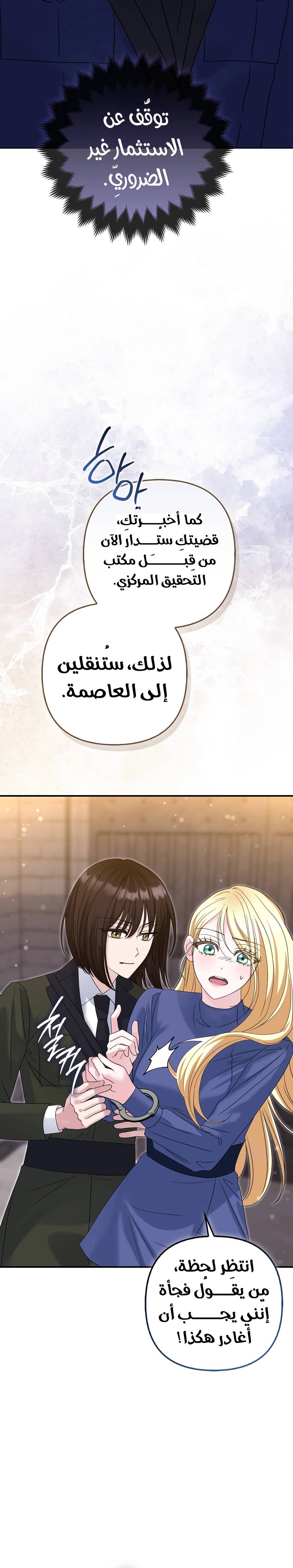 الصفحة 20