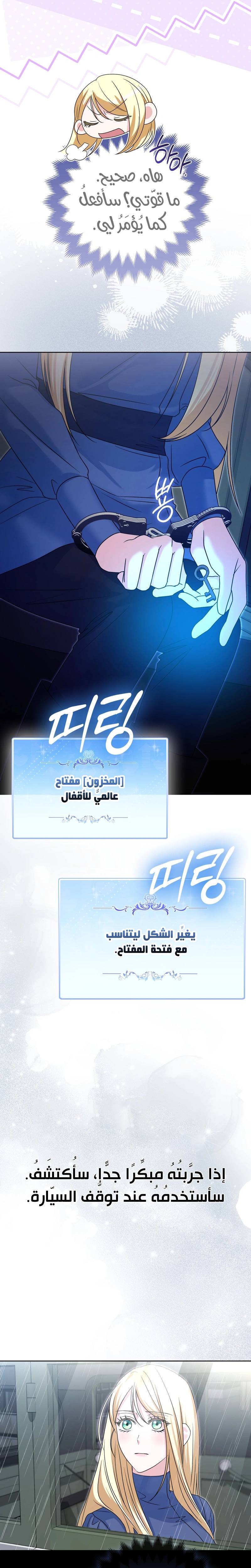 الصفحة 26