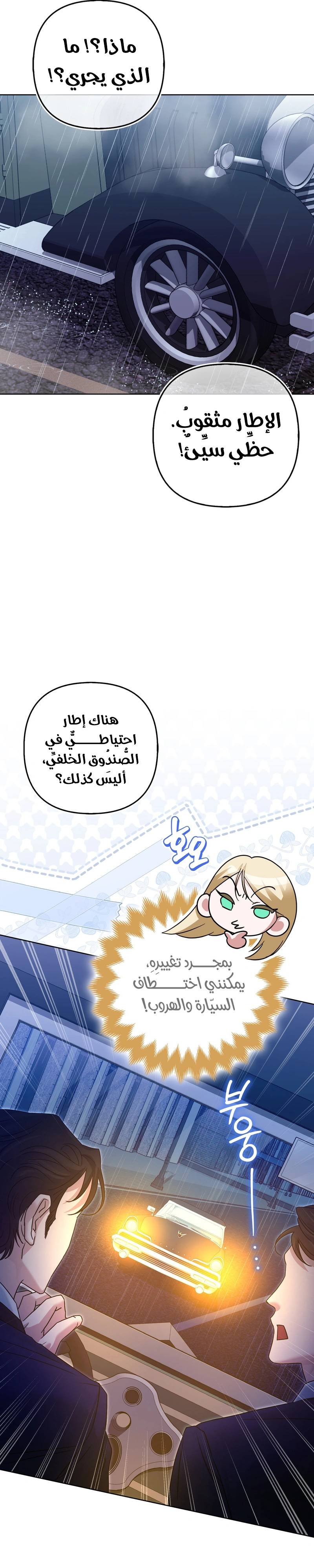 الصفحة 29