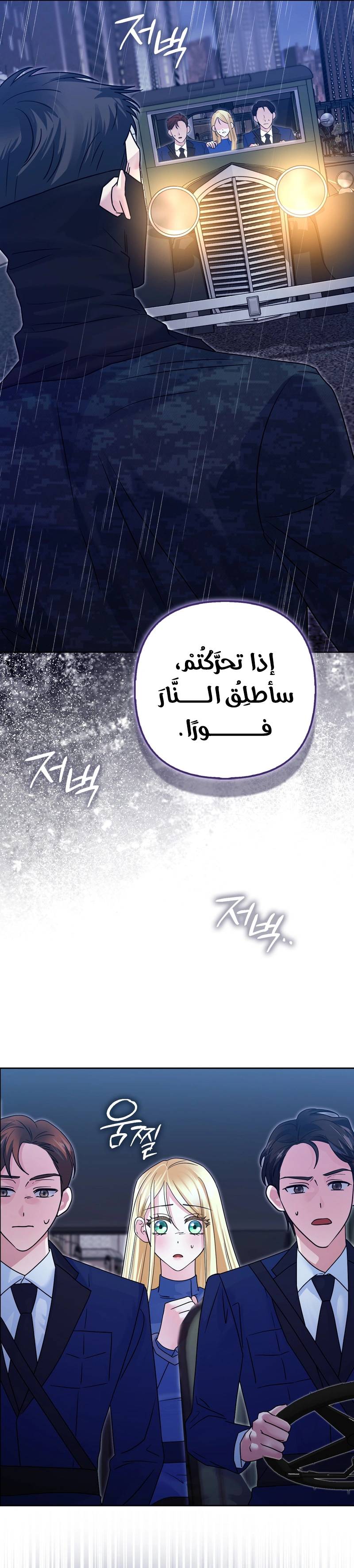 الصفحة 33