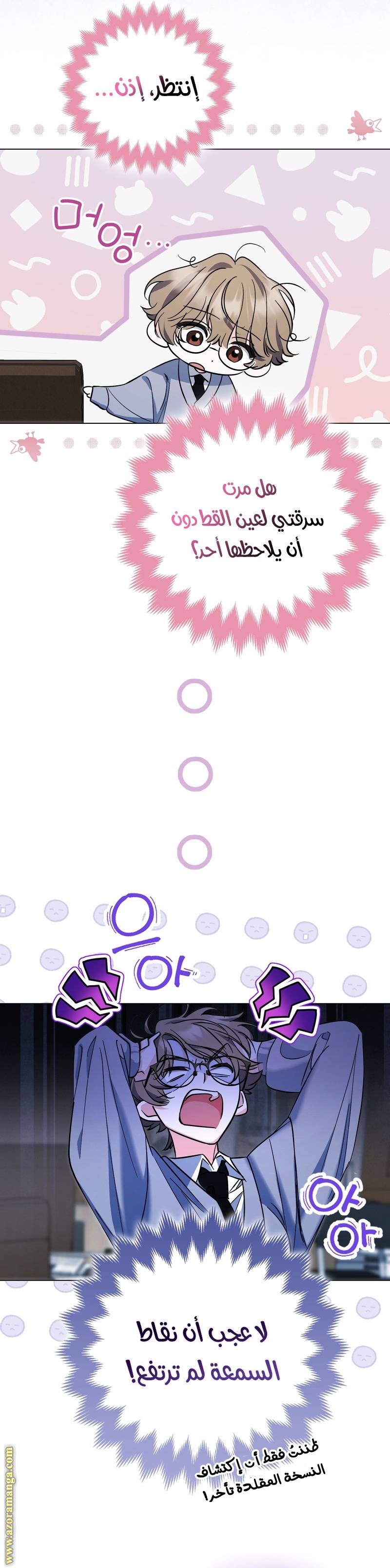 الصفحة 27