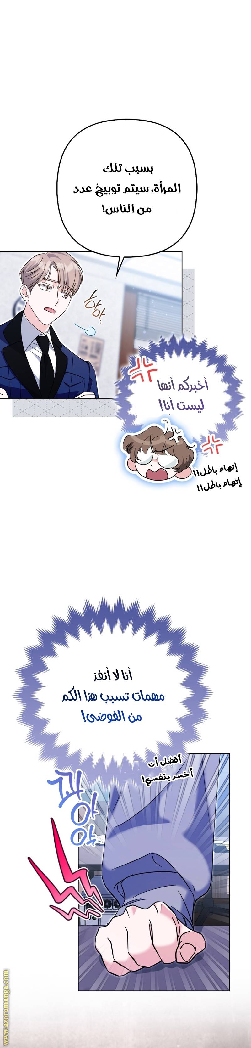 الصفحة 29