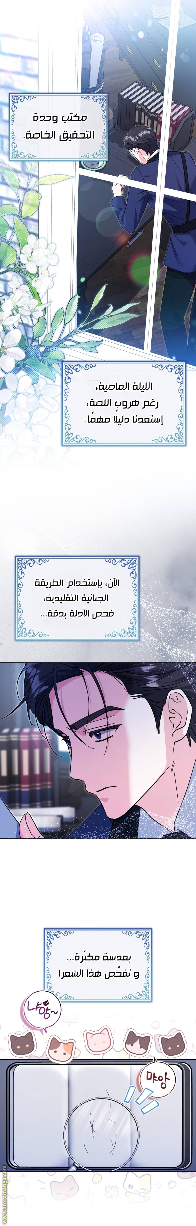 الصفحة 31