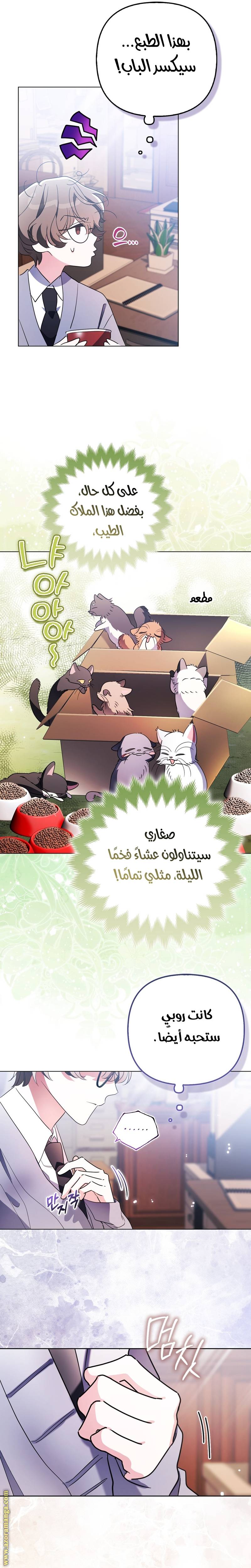 الصفحة 19