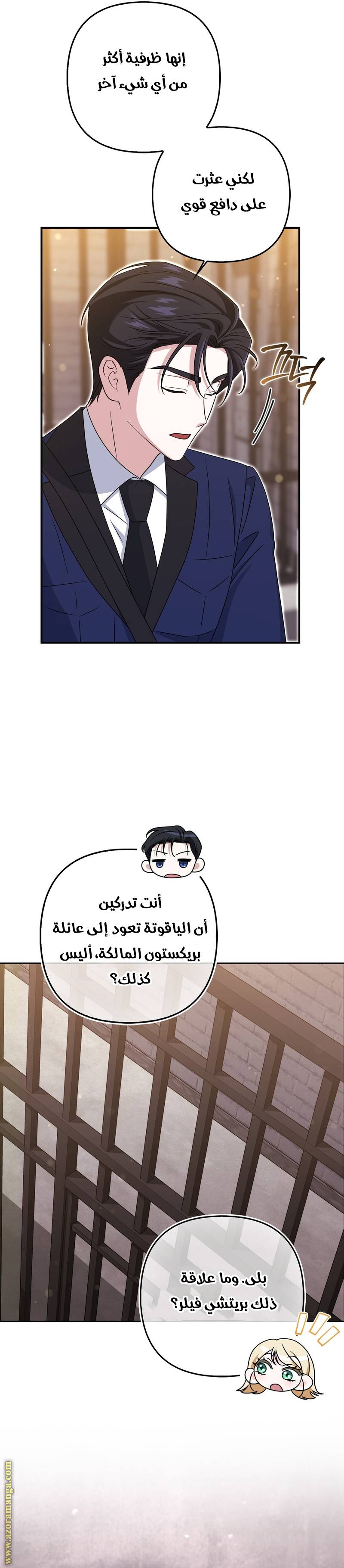 الصفحة 13
