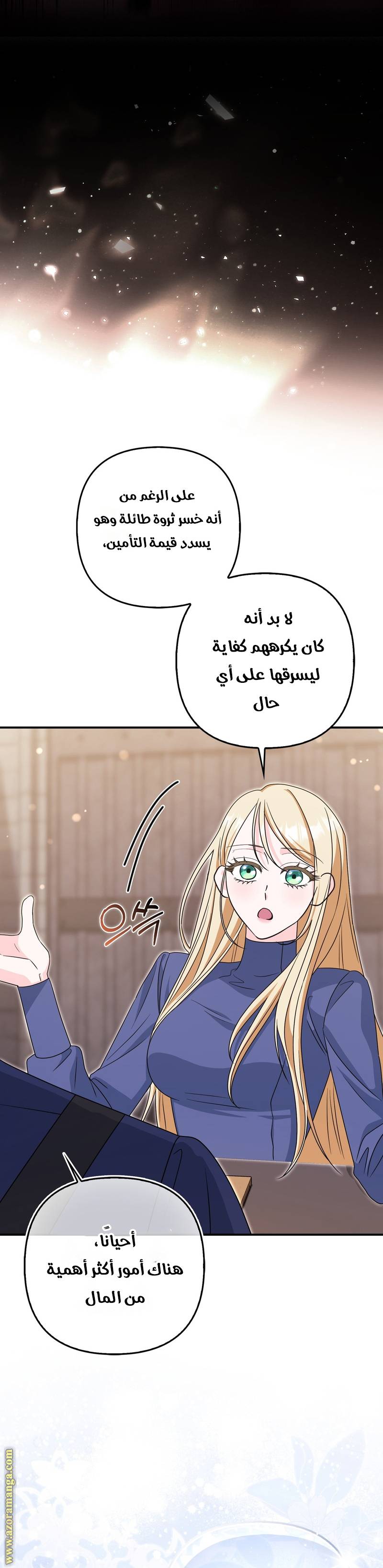 الصفحة 17