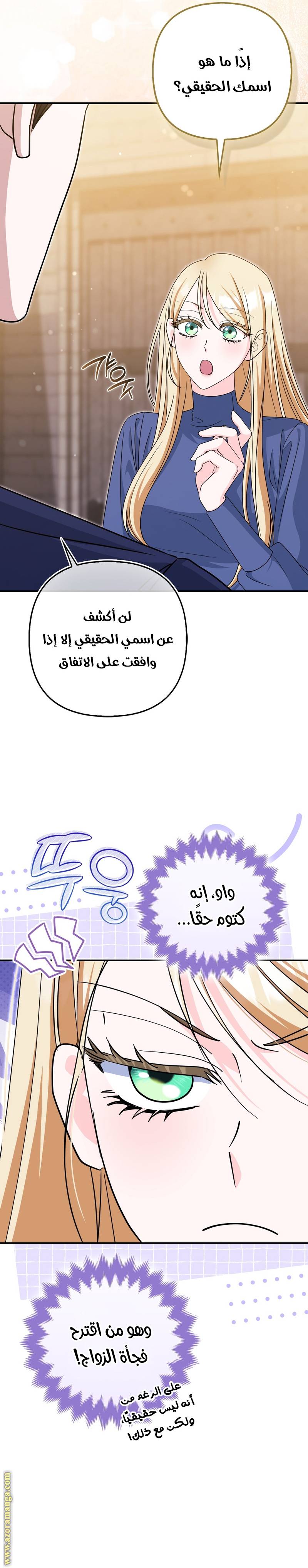 الصفحة 26