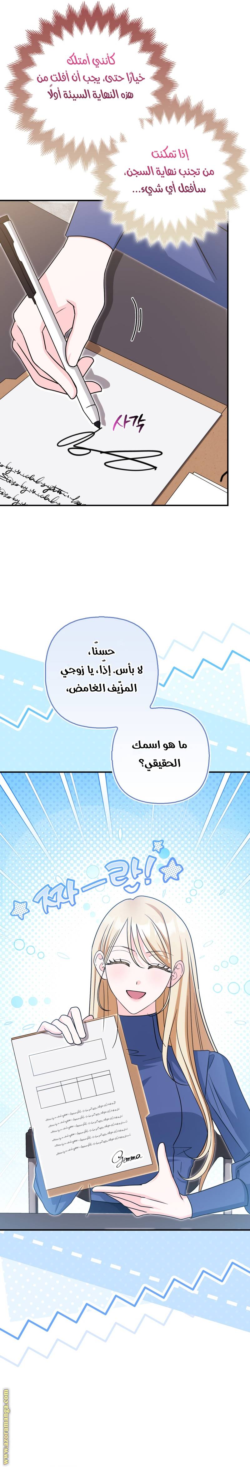 الصفحة 27