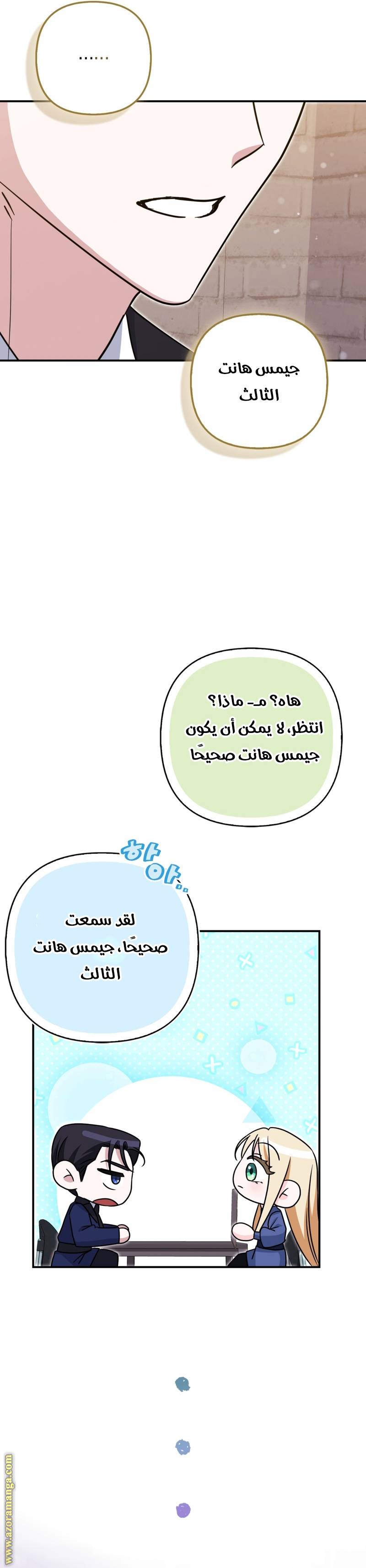 الصفحة 28