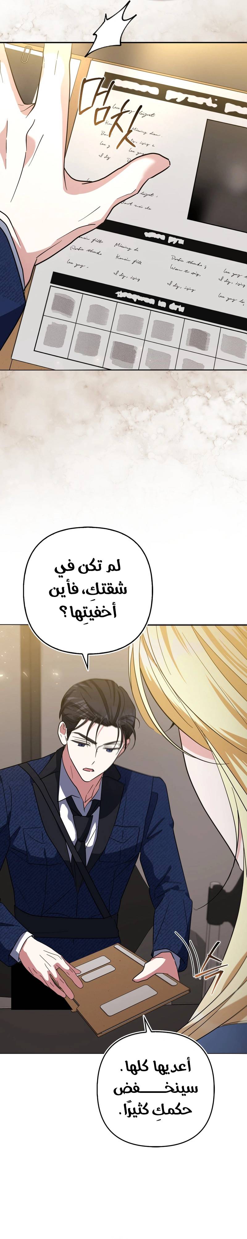 الصفحة 13