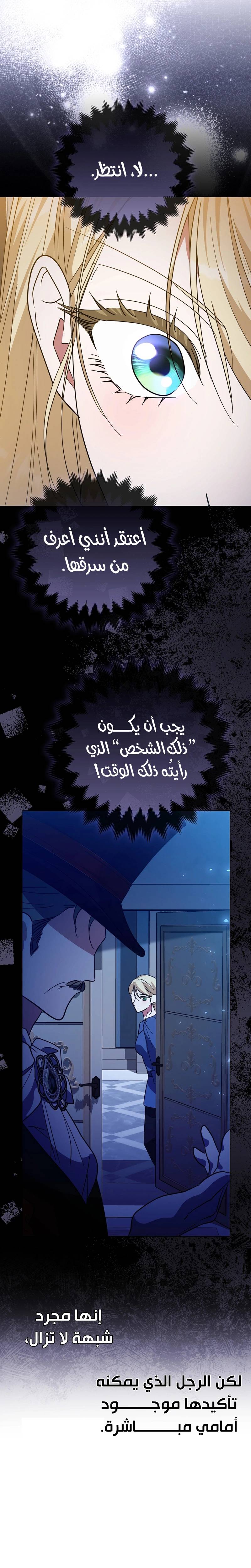 الصفحة 26
