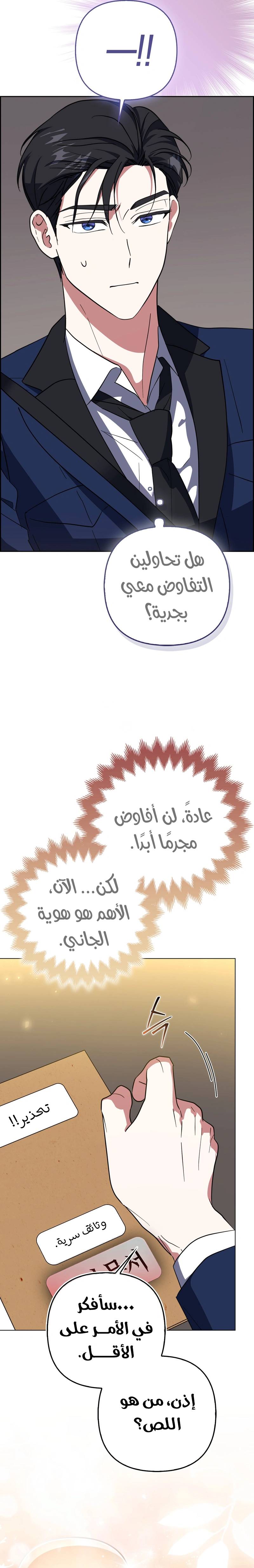 الصفحة 29