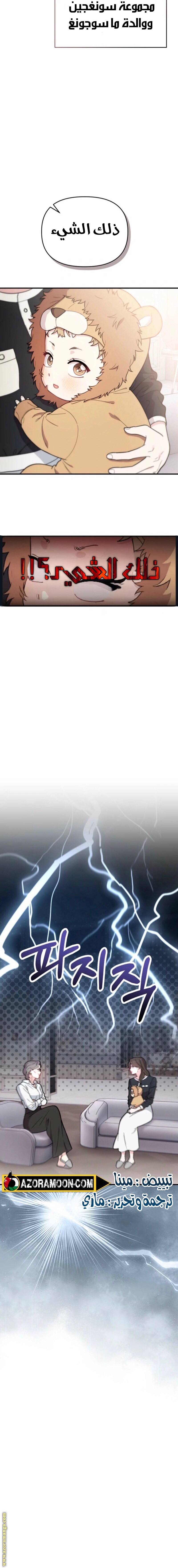الصفحة 17