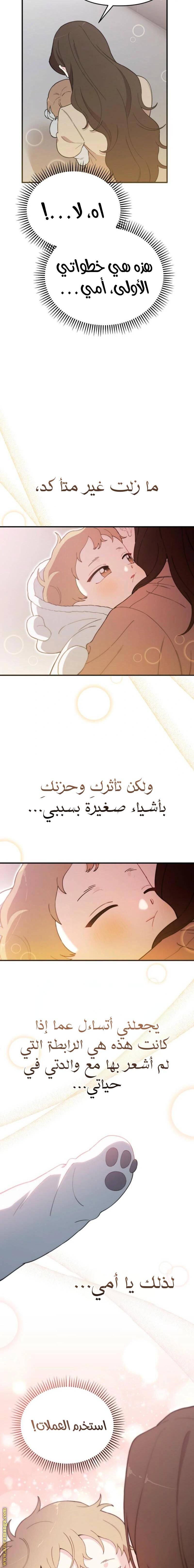 الصفحة 16