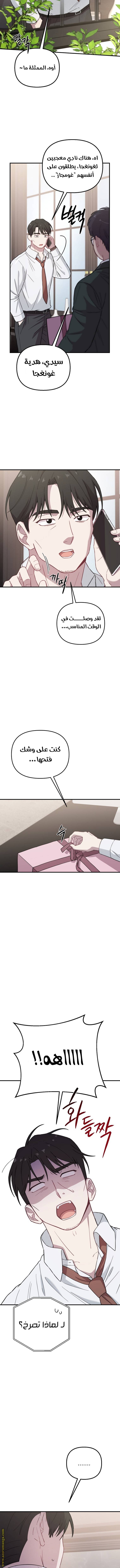 الصفحة 3