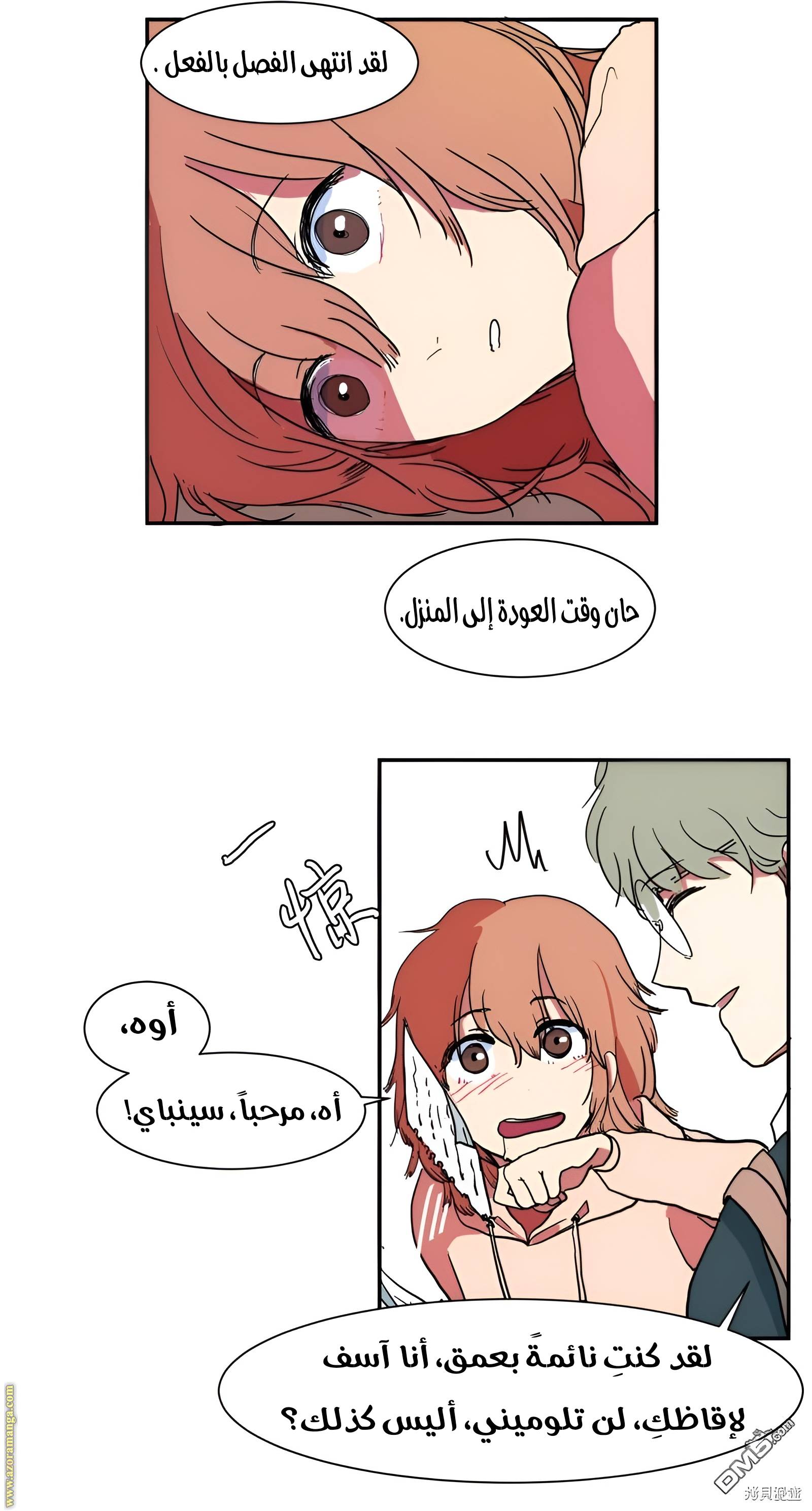 الصفحة 13