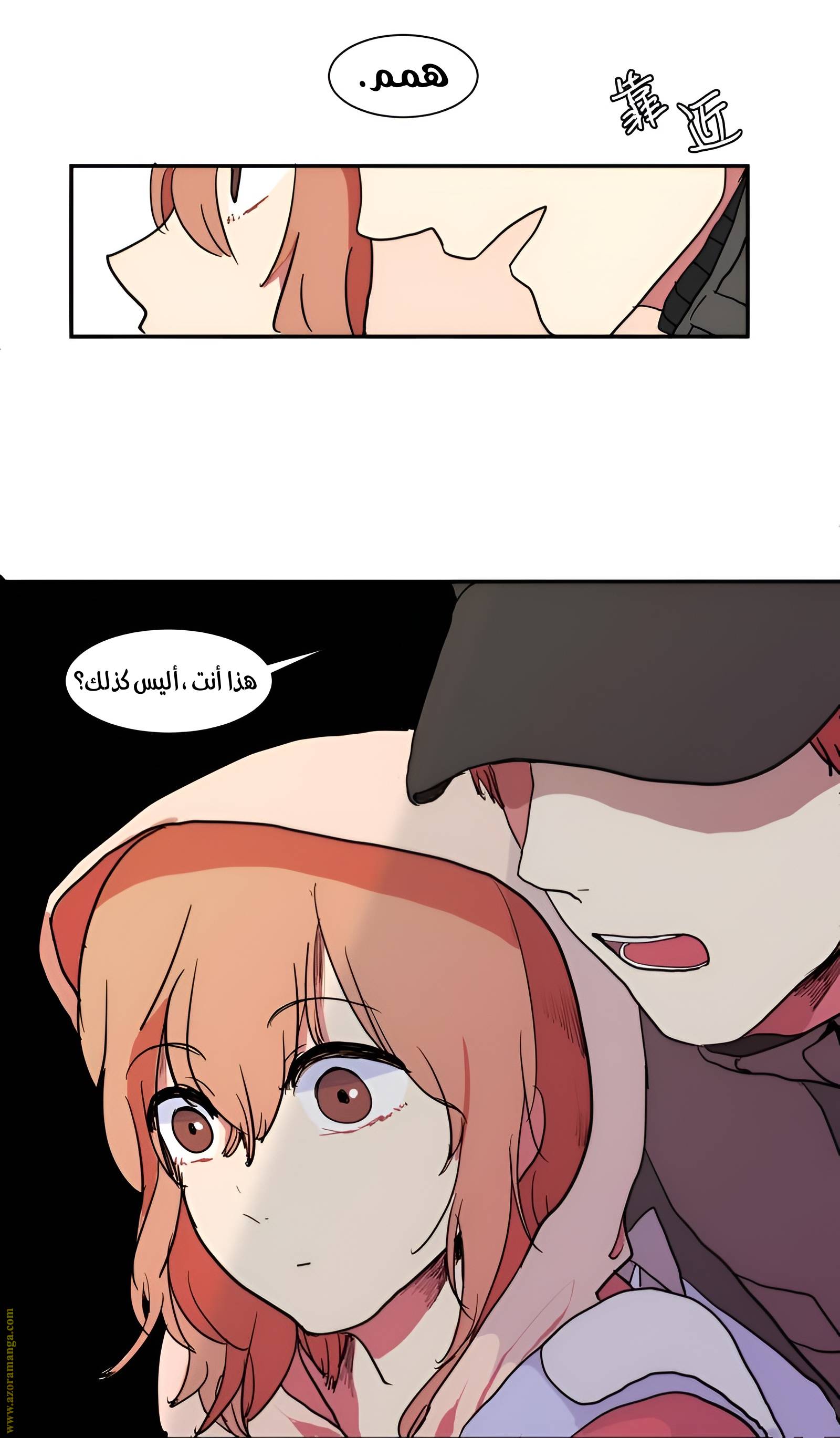الصفحة 27