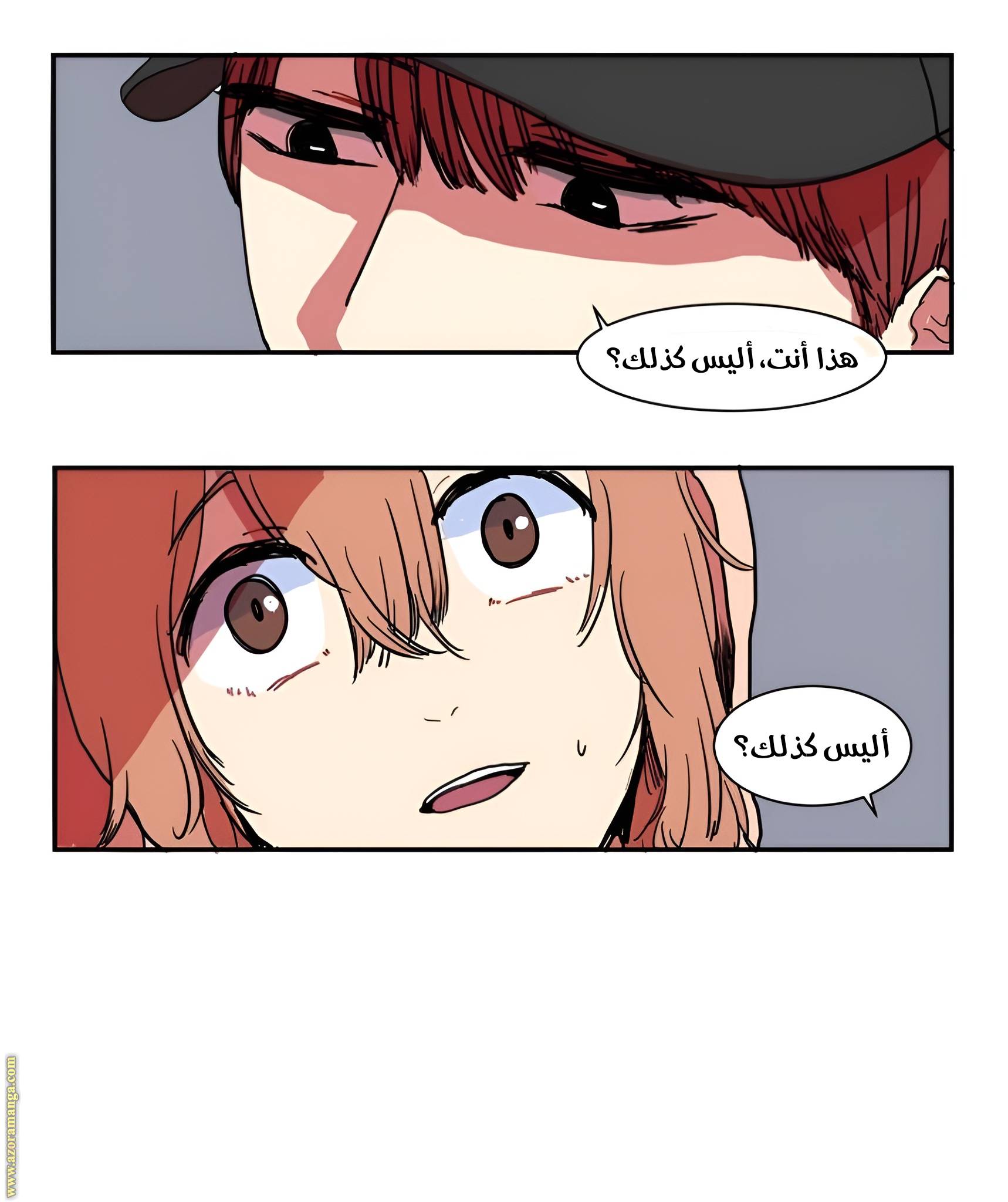 الصفحة 30