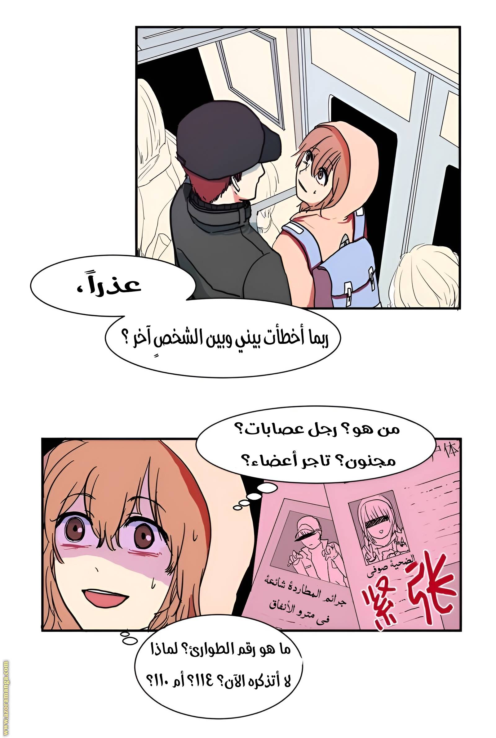 الصفحة 31