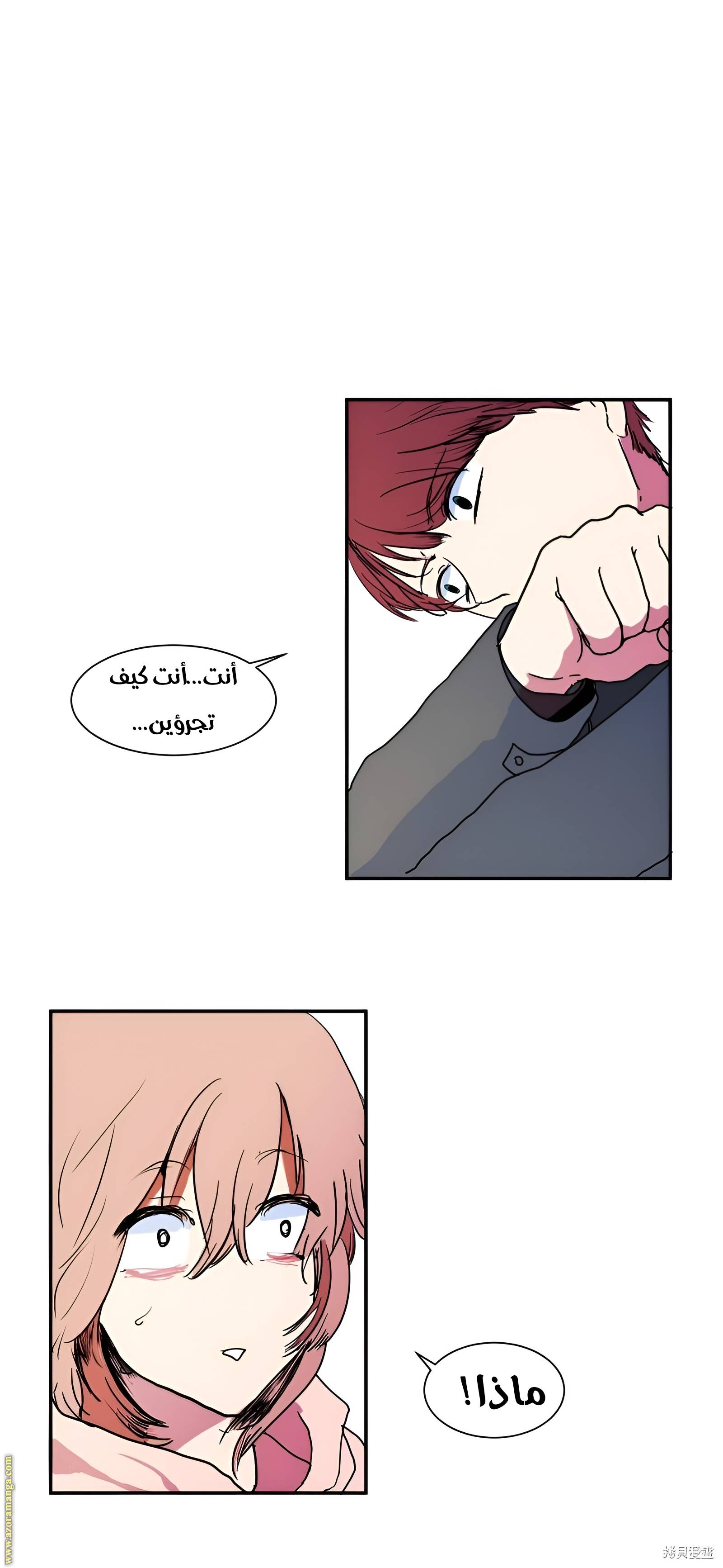 الصفحة 39
