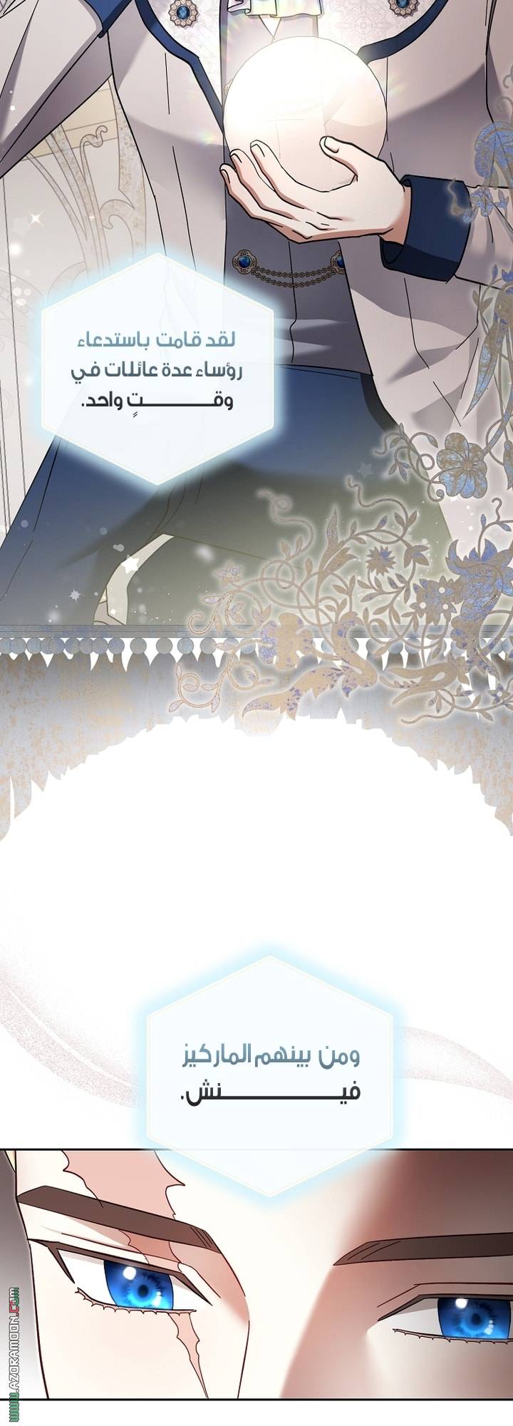 الصفحة 17