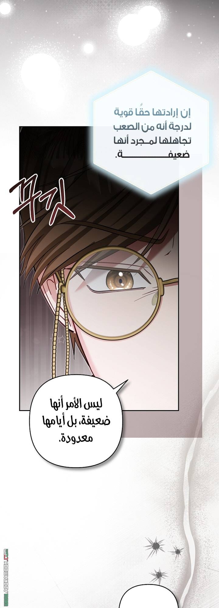 الصفحة 23