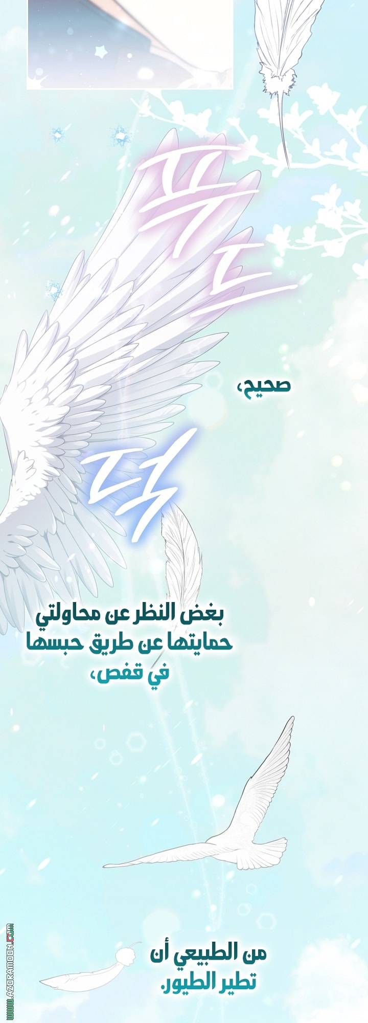 الصفحة 31