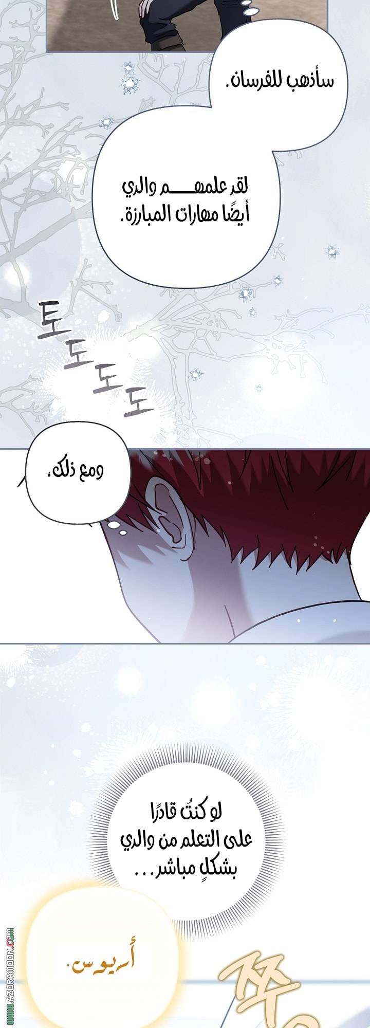 الصفحة 43