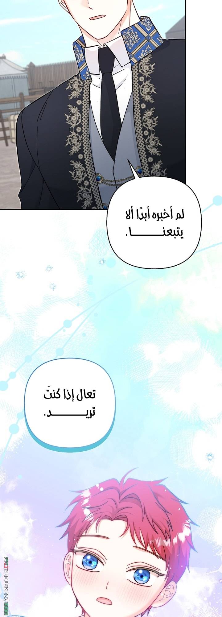 الصفحة 48