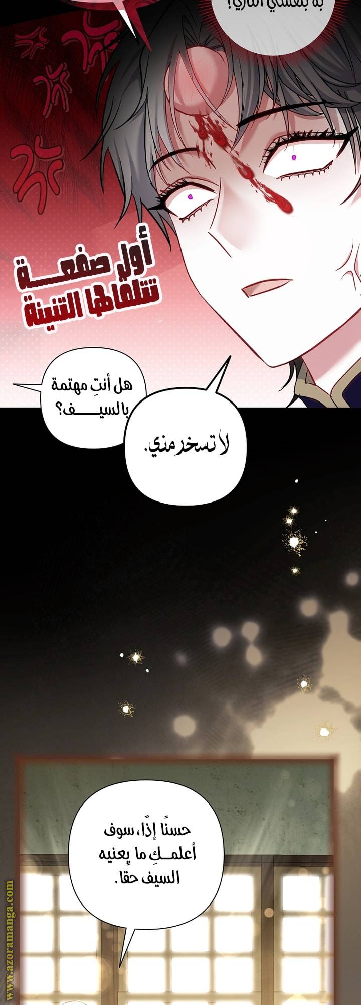 الصفحة 16