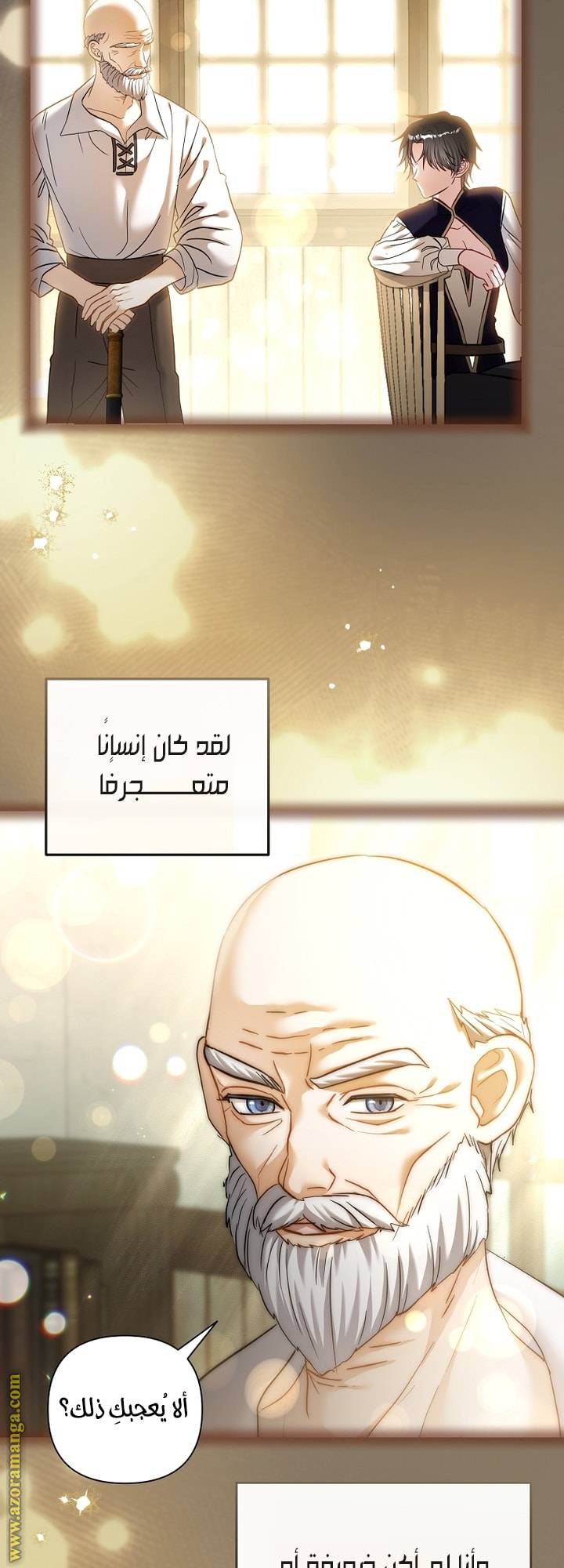 الصفحة 17