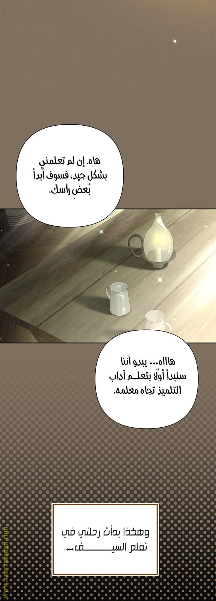 الصفحة 19