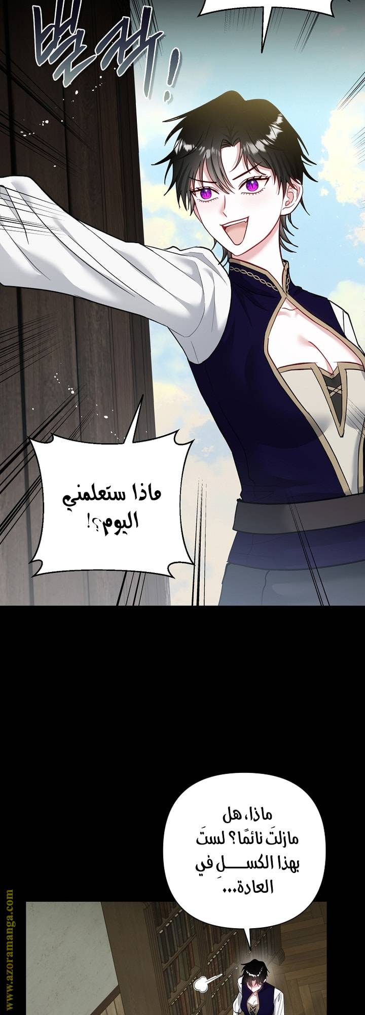 الصفحة 27