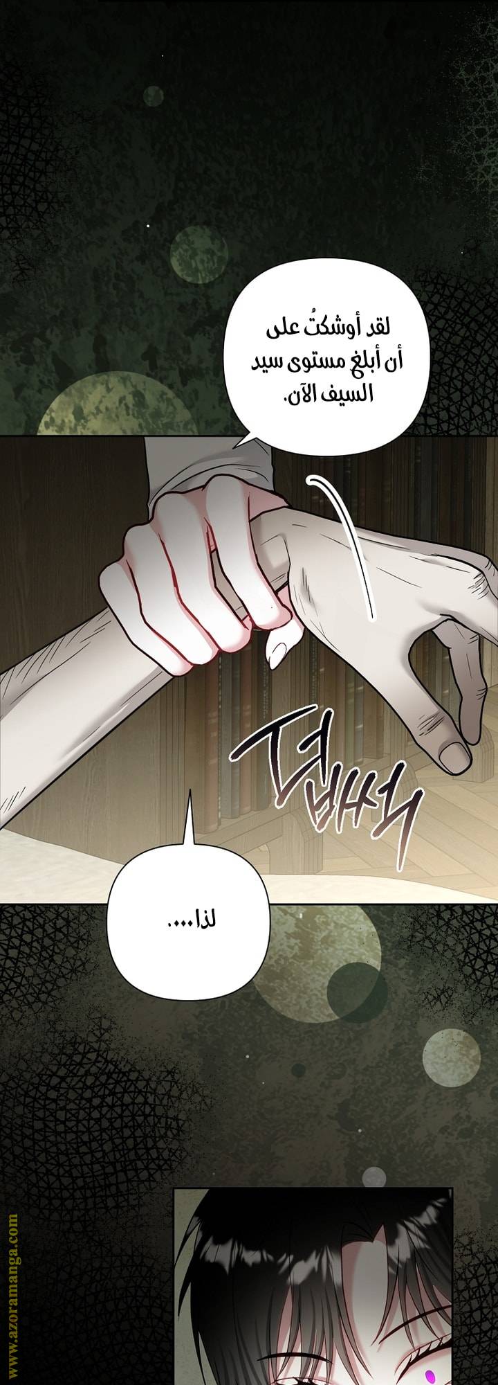 الصفحة 29