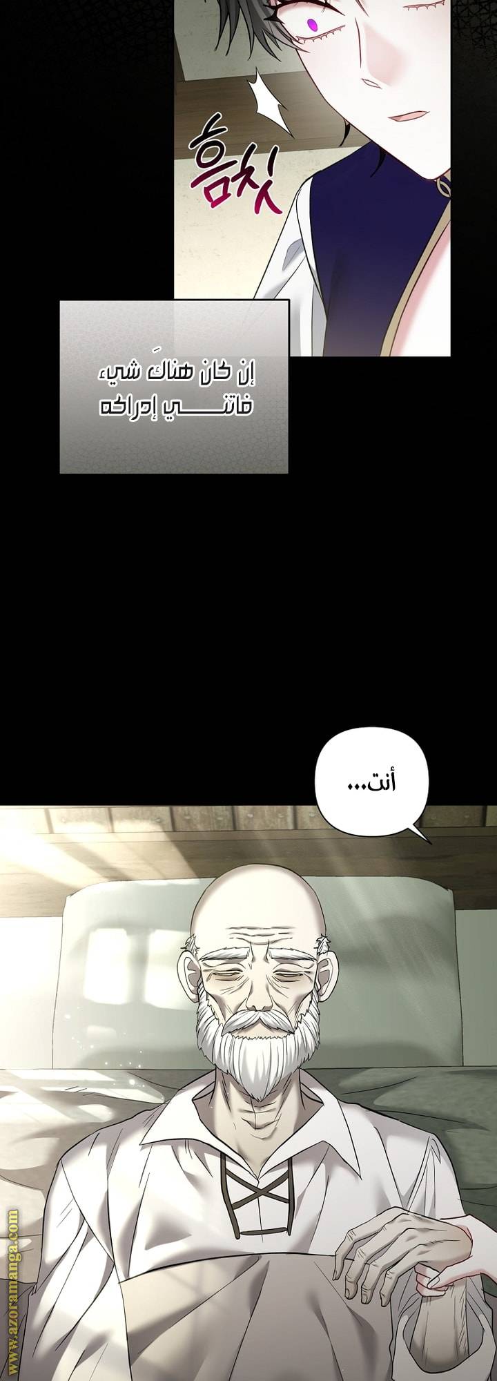 الصفحة 30