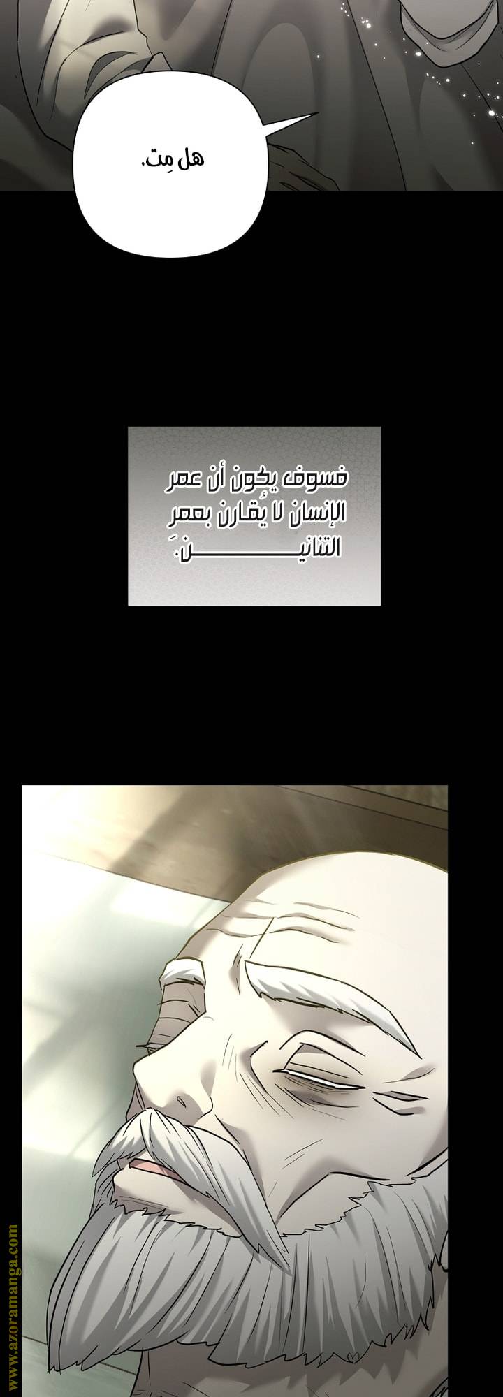 الصفحة 31