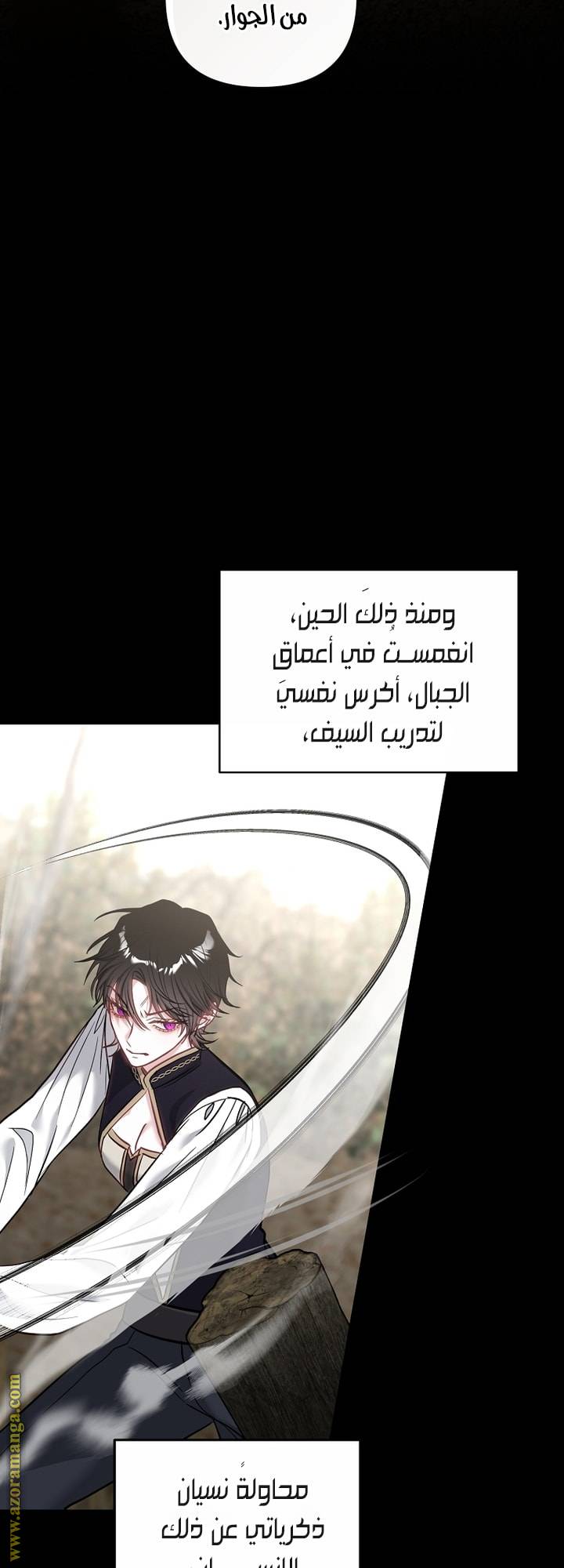 الصفحة 38
