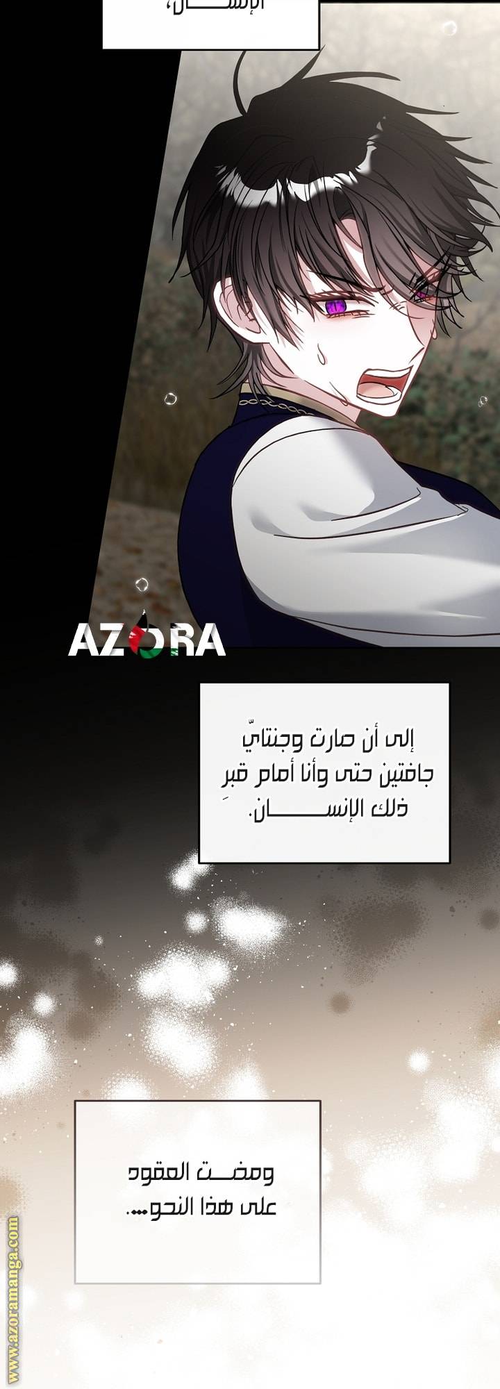 الصفحة 39