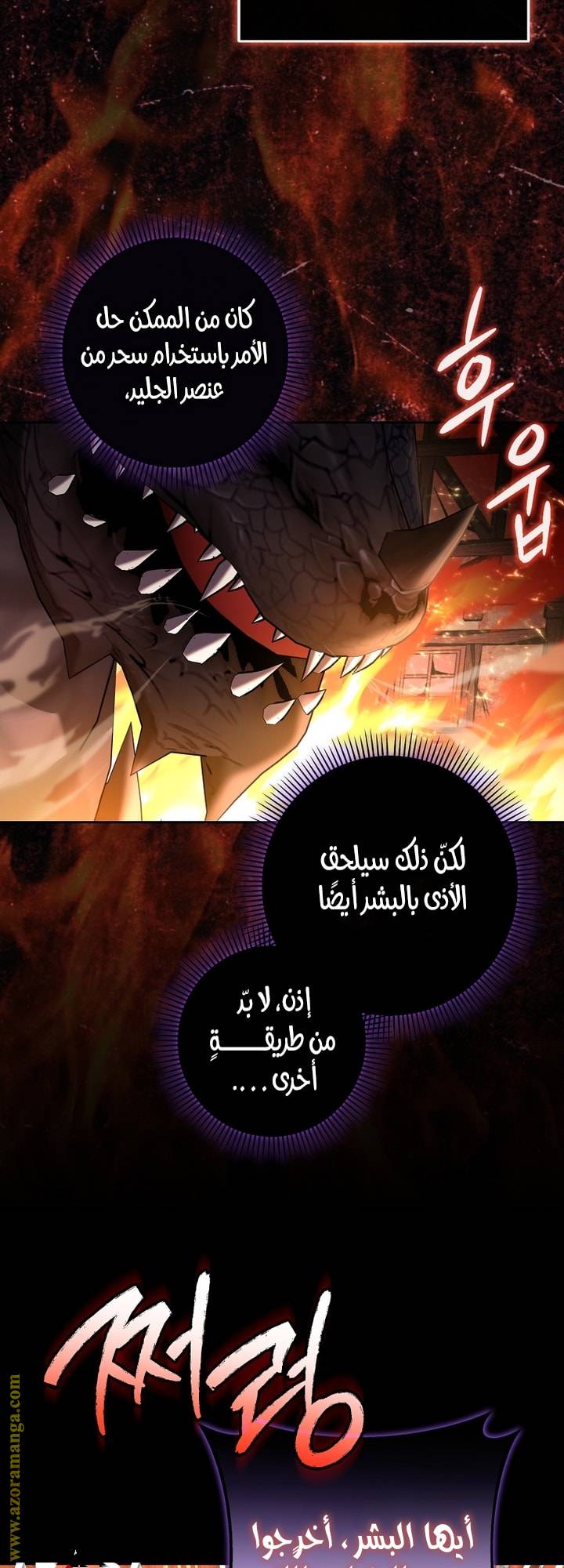 الصفحة 13