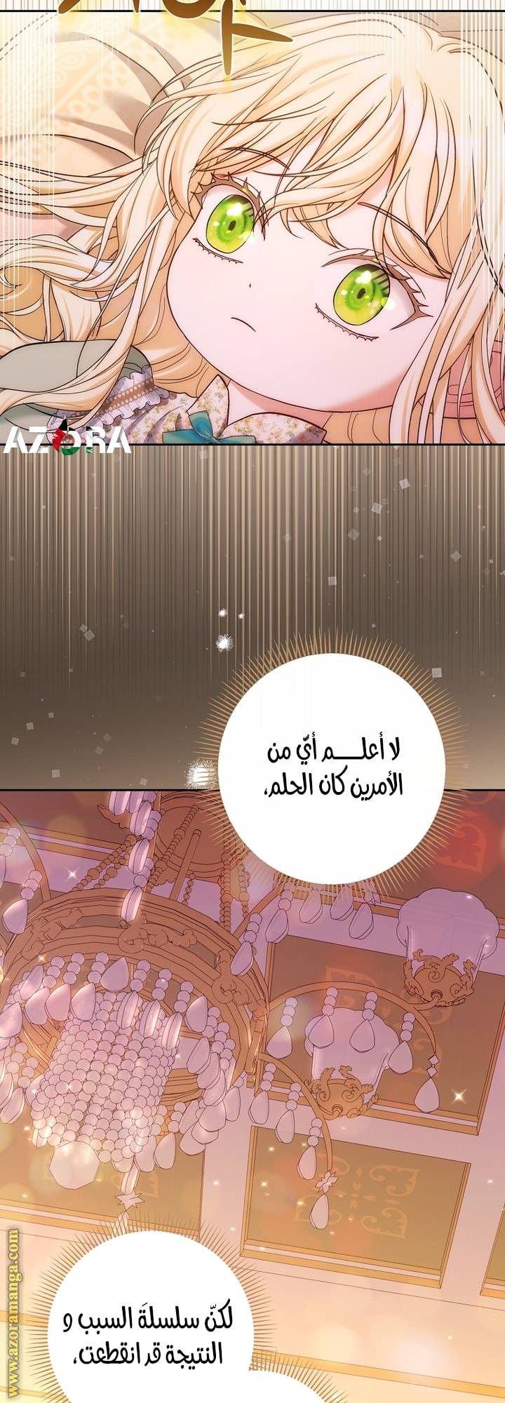 الصفحة 25
