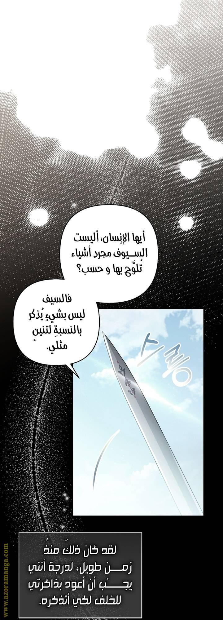 الصفحة 25