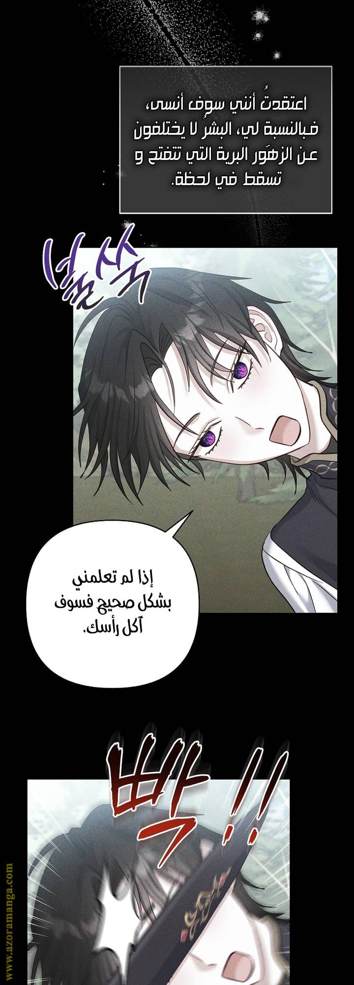 الصفحة 26