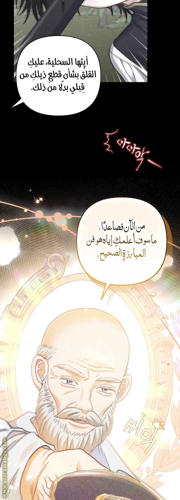 الصفحة 27