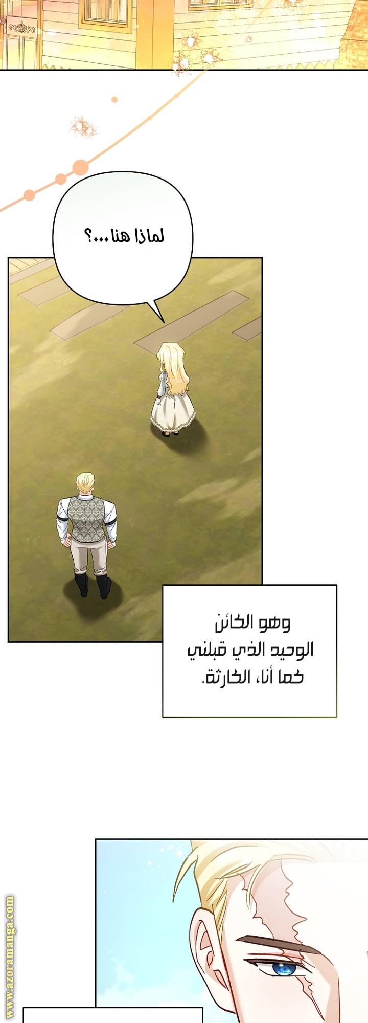 الصفحة 29